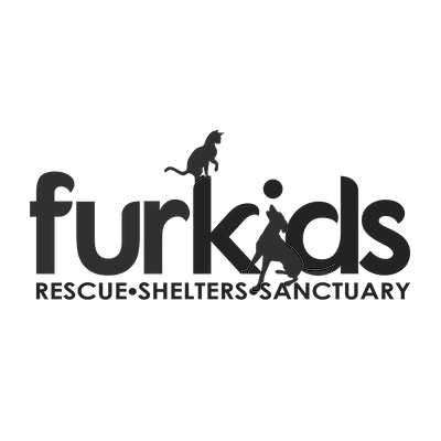 Forwarding Leaders - FurKids